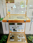 展示ケースに「化石標本」を紹介しています